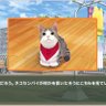 neko's profile picture