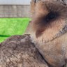 じょー profil fotoğrafı