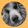 Louison's profile picture