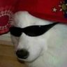 Profilbild von nicoto87
