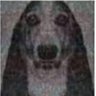 Profilbild von Gonk