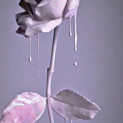 land_pxx's profile picture
