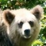 panpanda 的头像