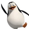 Profilbild von bressix