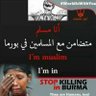 Ahmed Alshbini 的头像