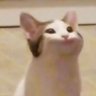 Profilbild von aa_nog