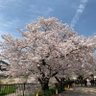 Фото профиля 和子の介護55GO