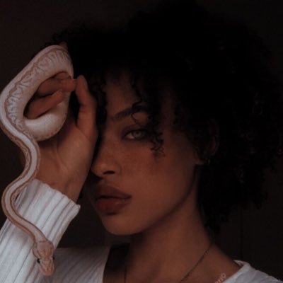 taroot131's profile picture