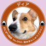 櫛里 的头像