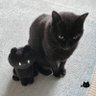 mi profil fotoğrafı