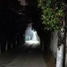 爱丽丝塔尼西亚 的头像