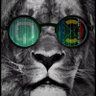PDegld's profile picture