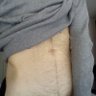 p0rc3llin08's profile picture