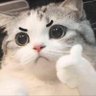 Profilbild von 看着小姐姐把豆浆打出来