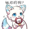 whitewolf白狼 的头像