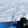 サボテンだー。 的头像