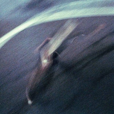 reesewitherblunt's profile picture