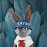 Profilbild von daone