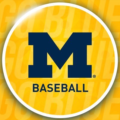 Michigan Baseball's profile picture