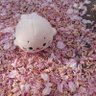 えみゅー 的头像