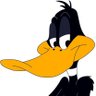 Profilbild von Daffy Duck