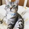 まころん's profile picture