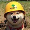 yabaidayo profil fotoğrafı