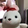サチコオンライン英会話's profile picture
