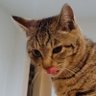 まーくん's profile picture