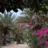Фото профиля الجاسريه