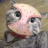 Profilbild von ✙ Karag