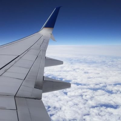 KIfS47Hln7sPQn6's profile picture