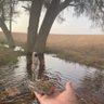 ابو تركي 的头像