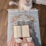 Afaf's profile picture
