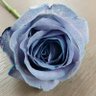 Joythetime__ profil fotoğrafı