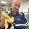 Mark Rowbottom's profile picture