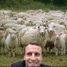 Profilbild von Fabien.V2