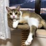まーくん 的头像
