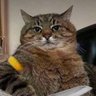 Степан's profile picture
