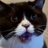 Profilbild von Thunder Mouser