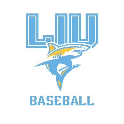 LIU_Baseball's profile picture