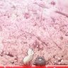 ゆうづき profil fotoğrafı
