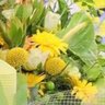 Фото профиля はちみつ