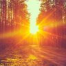 Profilbild von Sun