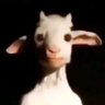 idk's profile picture