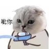 道衍 的头像