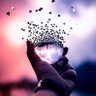 عبدالخالق's profile picture