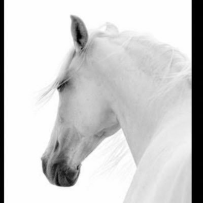 EliteWhiteDick's profile picture