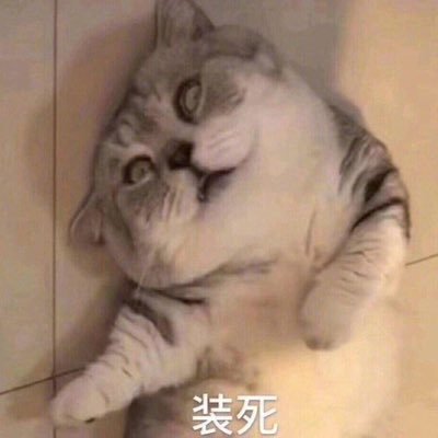 点点~'s profile picture