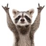 King Elon's profile picture